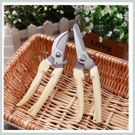 Kerti metszőolló szett QF13919