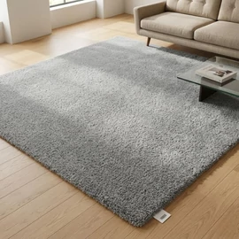 Belinda szőnyeg világosszürke 60x110cm 00052B-vsz110