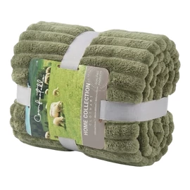 Puha csíkos pléd - Zöld 150 x 200 cm HCP4