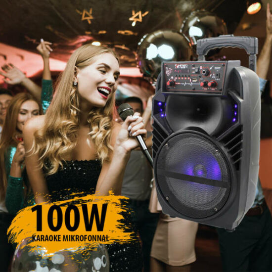 Kimiso QS81 karaoke hangszóró 100W
